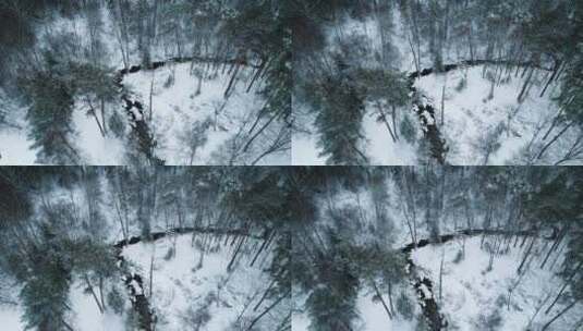 冰冻的森林高清在线视频素材下载