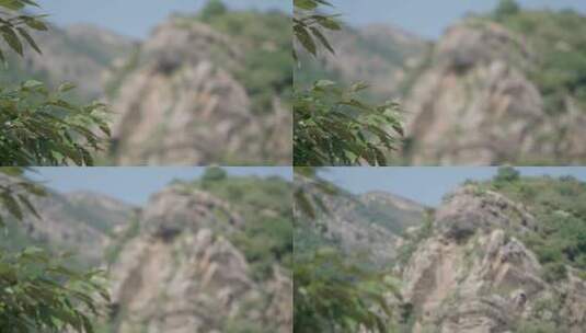森林山崖悬崖峭壁岩石高清在线视频素材下载