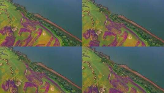 昆明晋宁区滇池大湾片区自然风光航拍高清在线视频素材下载