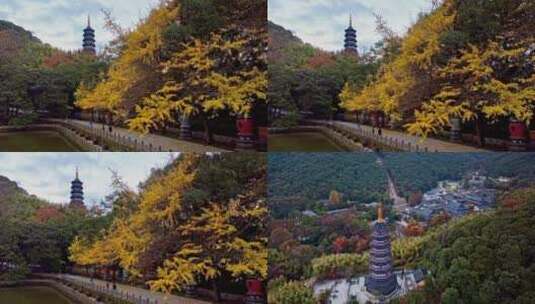 自然风景，如果治愈有季节·那一定是夏天吧高清在线视频素材下载