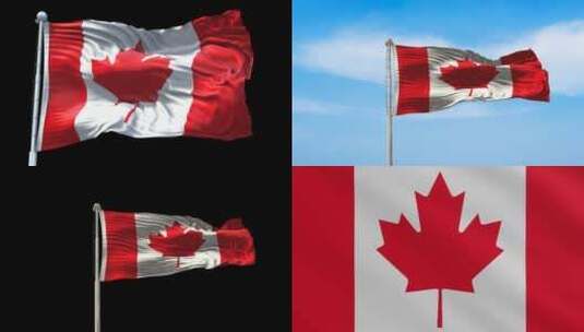 加拿大国旗旗帜标志logo带通道高清在线视频素材下载