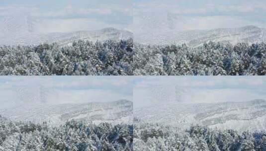 航拍四川峨眉山山谷雪景高清在线视频素材下载