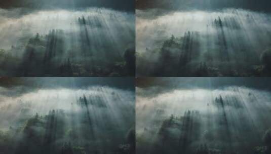 云雾缭绕的森林高清在线视频素材下载