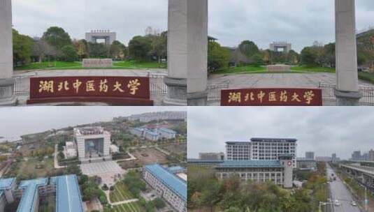 湖北中医药大学高清在线视频素材下载