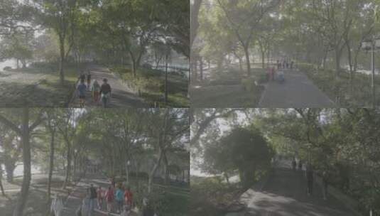 杭州西湖苏堤早晨航拍高清在线视频素材下载