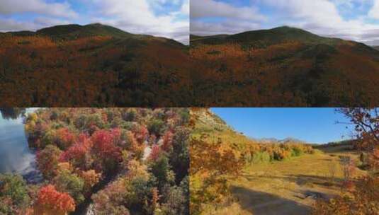 秋天秋叶秋景山林山枫叶唯美红叶航拍高清在线视频素材下载