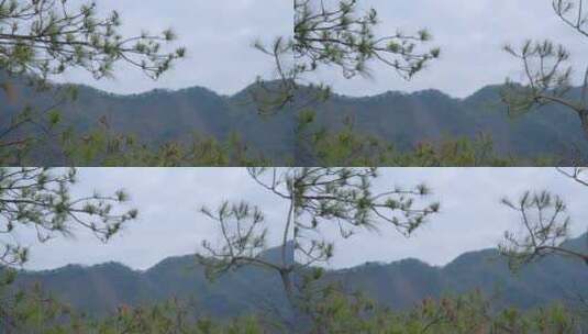 高大的山峰风景高清在线视频素材下载