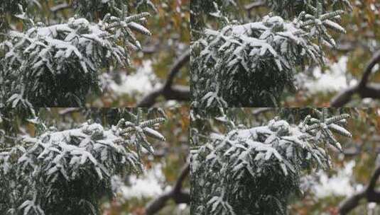 中式建筑下雪中实拍高清在线视频素材下载