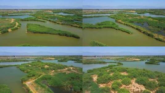 航拍生态环境芦苇荡湿地湖泊高清在线视频素材下载
