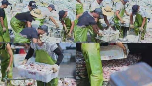 渔民海鲜市场泉州晋江石狮渔港渔民捕捞海钓高清在线视频素材下载