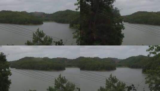 森林湖泊高清在线视频素材下载