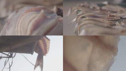 广东雷州晾晒海鲜 制作咸鱼高清在线视频素材下载