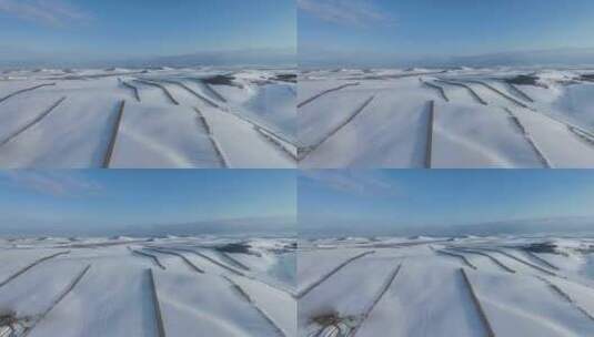 呼伦贝尔垦区积雪覆盖的农田雪景防风林带高清在线视频素材下载