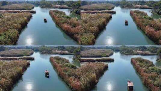 中国杭州西溪湿地秋日美景高清在线视频素材下载