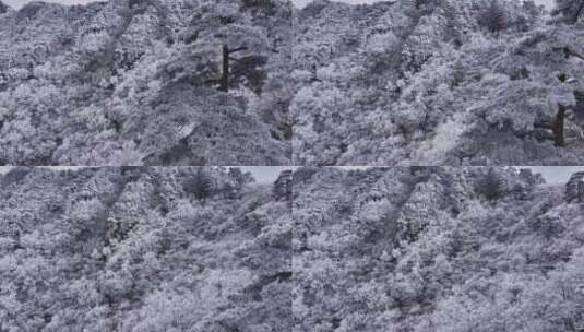 安徽黄山雪景高清在线视频素材下载