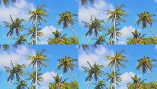 大海沙滩海浪椰子树高清在线视频素材下载