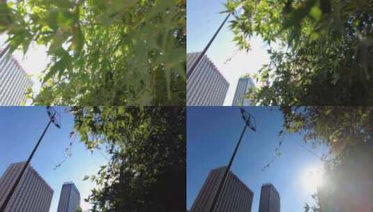 城市阳光穿过树叶子唯美风景视频素材高清在线视频素材下载