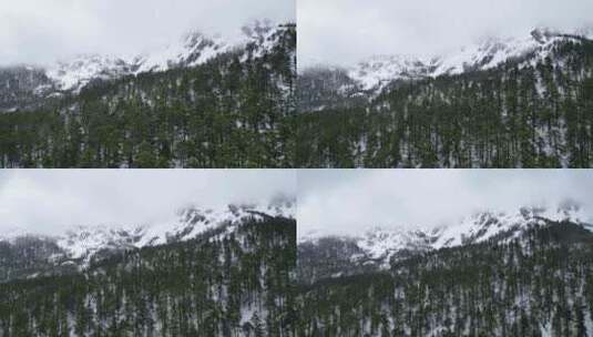 雪山森林雪景高清在线视频素材下载