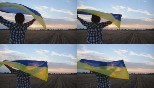 日出时，乌克兰女士在大麦草地上与国家蓝石高清在线视频素材下载