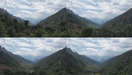 怒江高黎贡山原始森林高山草甸景观 福贡县1高清在线视频素材下载