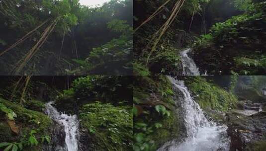 原始森林溪流原生态环境自然风景高清在线视频素材下载