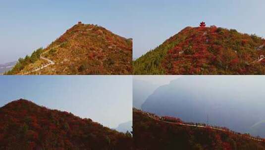 长江三峡巫峡红叶高清在线视频素材下载