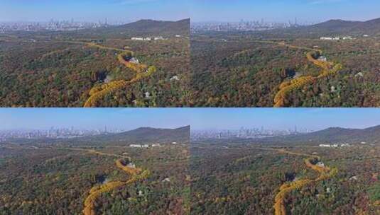 江苏南京中山陵灵山风景区音乐台秋色航拍高清在线视频素材下载