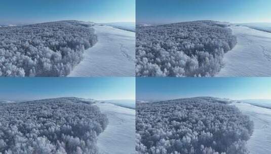 苍茫雪原上银装素裹白桦林高清在线视频素材下载