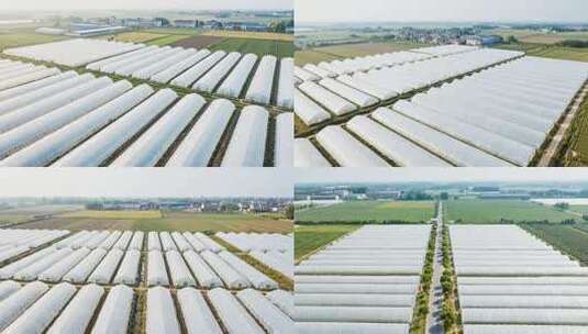 空中俯瞰蔬菜大棚种植基地高清在线视频素材下载
