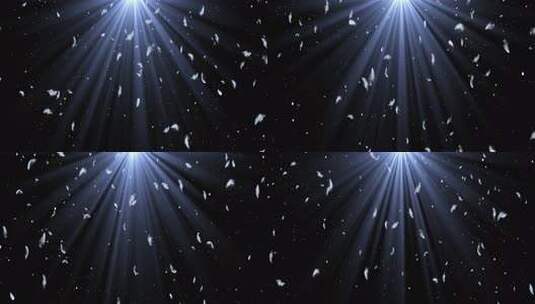 羽毛飘落AE模板高清AE视频素材下载