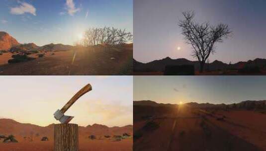 带有树桩的沙漠景观高清在线视频素材下载