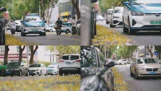 城市街道的落叶 行驶的车辆高清在线视频素材下载