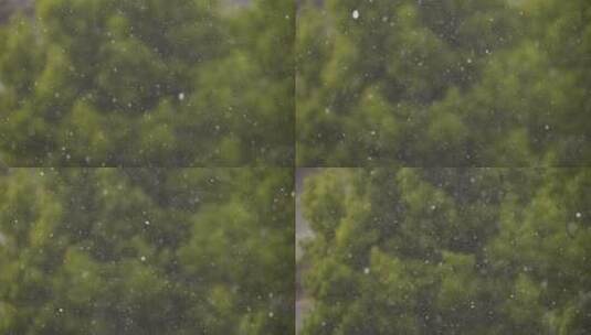 小雪 雪天高清在线视频素材下载