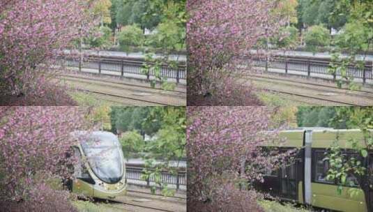 轻轨电车海棠花从里来高清在线视频素材下载