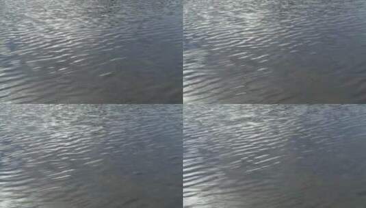 湖面上的涟漪高清在线视频素材下载