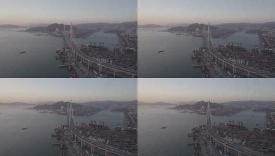 航拍香港黄昏海滨CBD发达现代港口桥梁高清在线视频素材下载