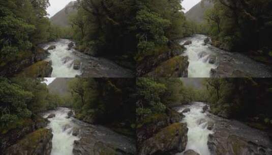 森林里湍急的河流高清在线视频素材下载
