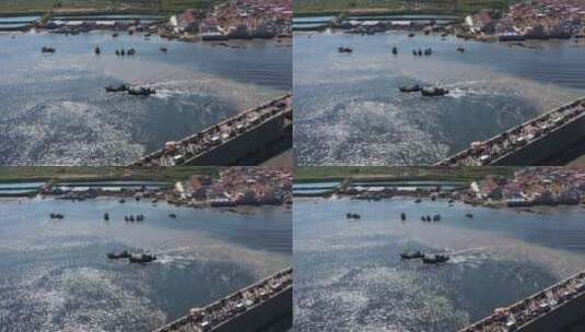 山东青岛渔船航拍709高清在线视频素材下载