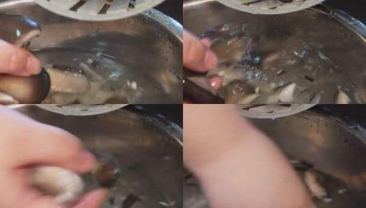 水槽清洗平菇沥干水分高清在线视频素材下载