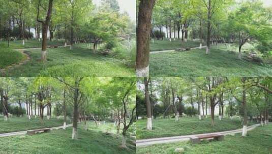 杭州江干区世纪花园公园航拍高清在线视频素材下载