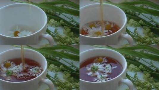 水倒入放着白色菊-花的杯子里高清在线视频素材下载