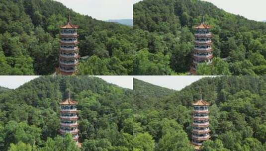 湖南常德夹山国家森林公园野拂维禅师塔高清在线视频素材下载