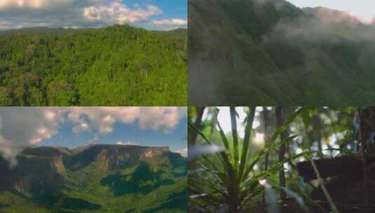航拍原始森林植物绿色大气环境避暑旅游风景高清在线视频素材下载