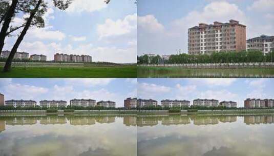 城市 树木高清在线视频素材下载