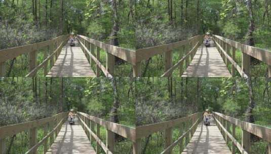 老人骑着脚踏车景观森林间的桥梁高清在线视频素材下载