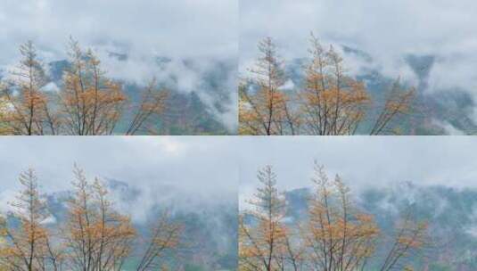 四川山区秋季云海景观高清在线视频素材下载