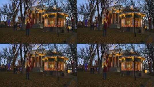亚利桑那州凉亭上的圣诞灯高清在线视频素材下载