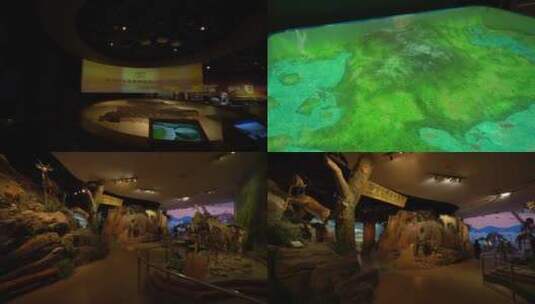 陕西自然博物馆4高清在线视频素材下载