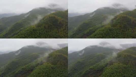 雨后山间的云雾水汽高清在线视频素材下载