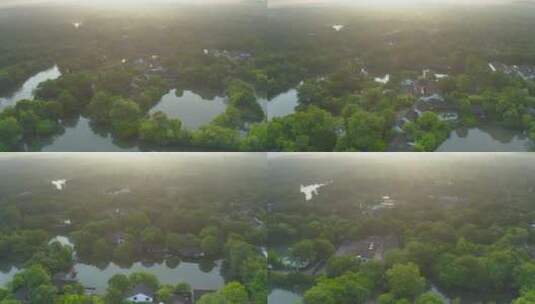 杭州西溪湿地公园初夏航拍高清在线视频素材下载